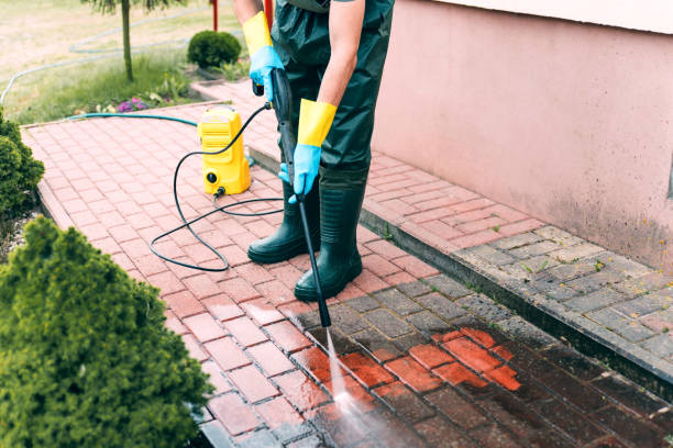 Best Gutter Cleaning and Brightening in Roscoe, TX